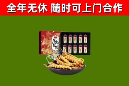 红谷滩区回收冬虫夏草价格