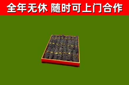 红谷滩区回收海参